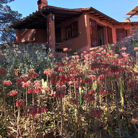 Casa Diana Panzió Isola di Giannutri Kültér fotó